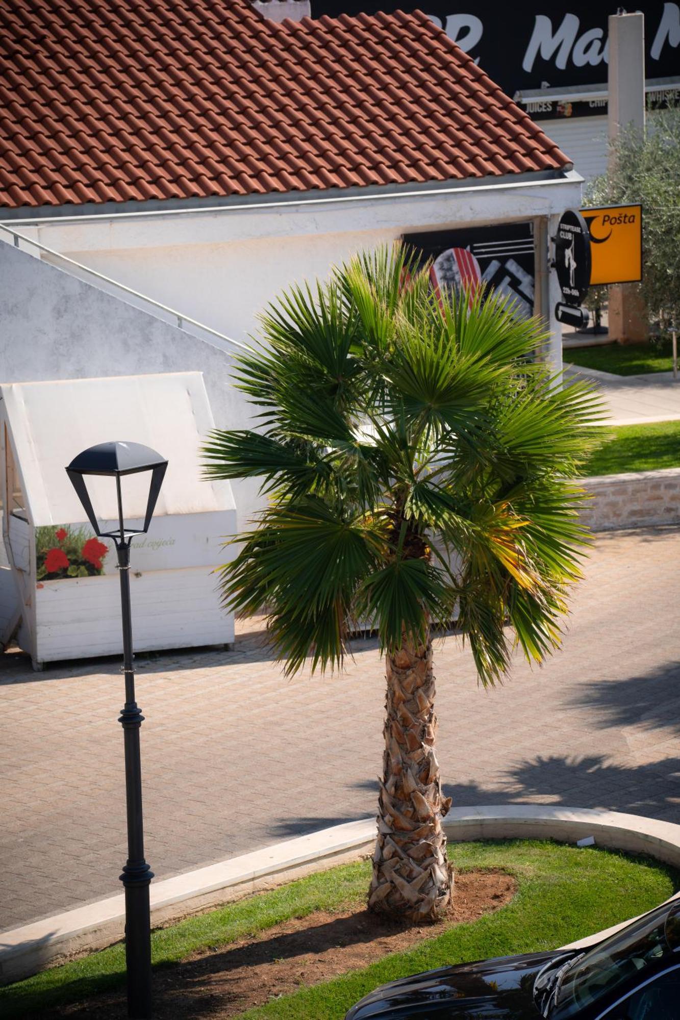 Apartments Centar Vodice Exterior foto