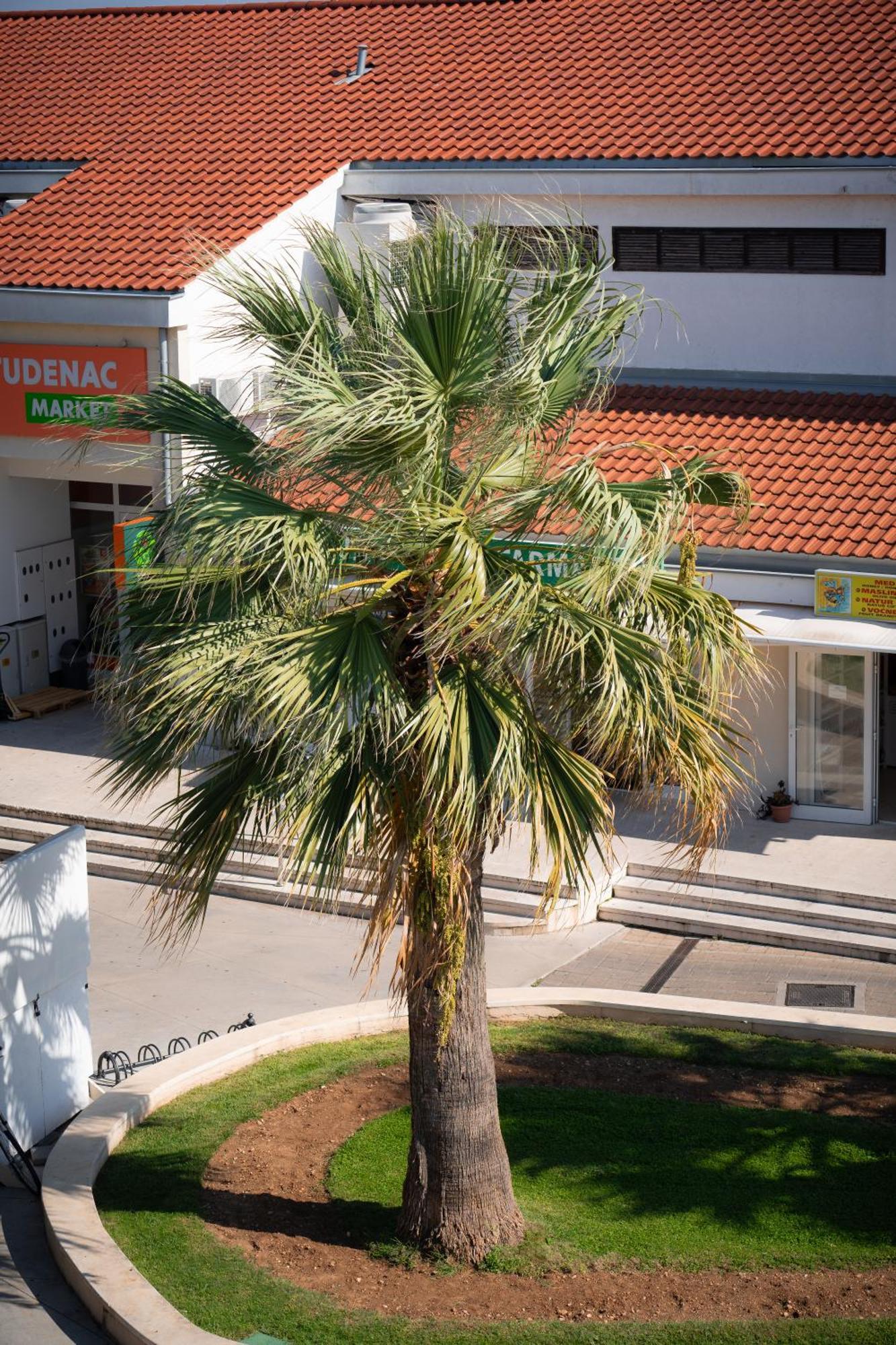 Apartments Centar Vodice Exterior foto